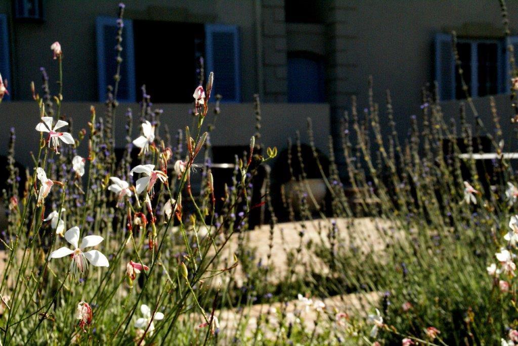 La Cabriere Country House Franschhoek Εξωτερικό φωτογραφία